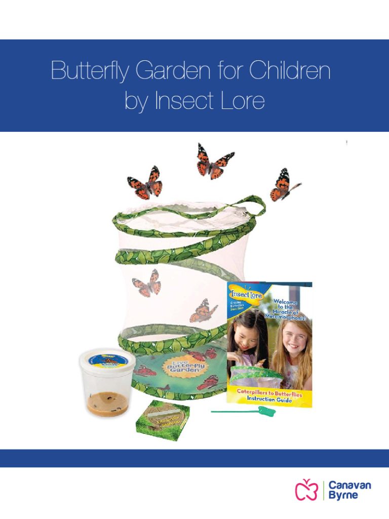 Butterfly Garden for Children by Insect Lore Early Years Shop