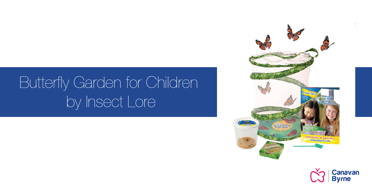 Butterfly Garden for Children by Insect Lore Early Years Shop