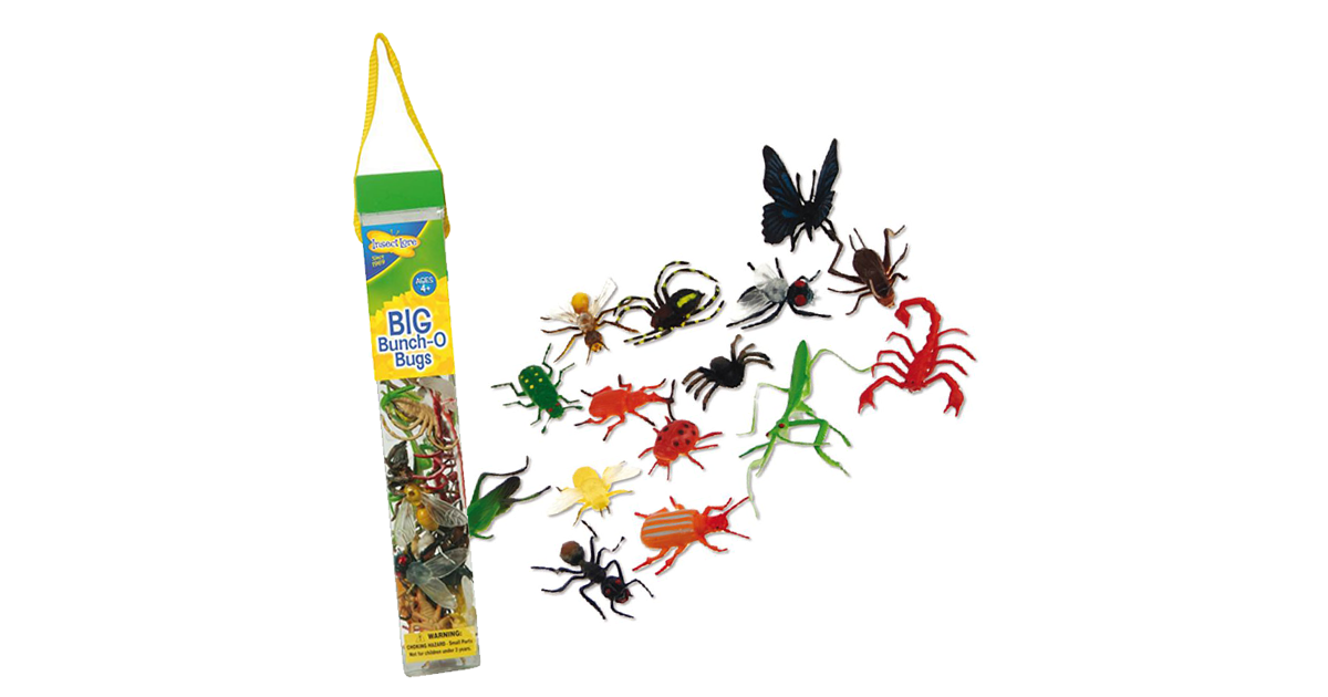 Big Bunch O' Bugs from Insect Lore - Early Years Shop