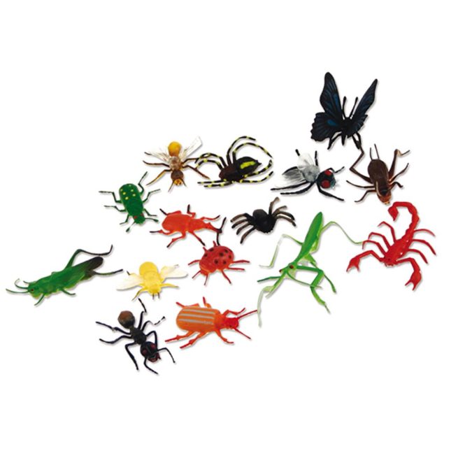 Big Bunch O' Bugs from Insect Lore - Early Years Shop