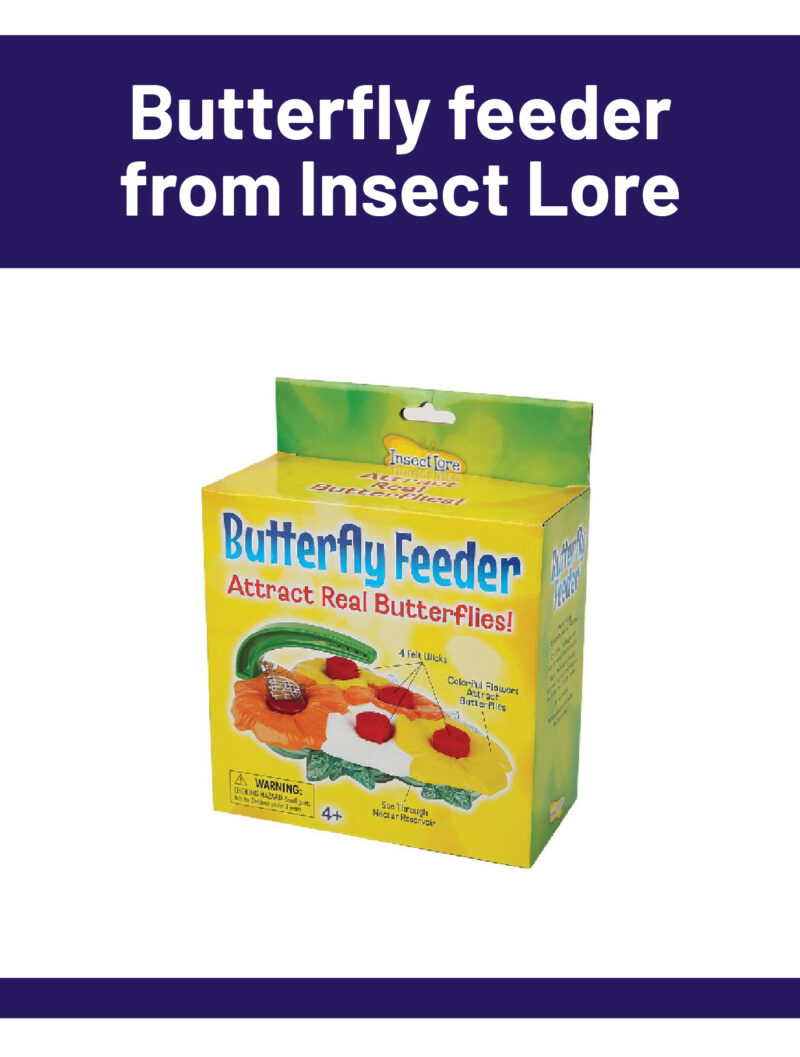 Butterfly Feeder