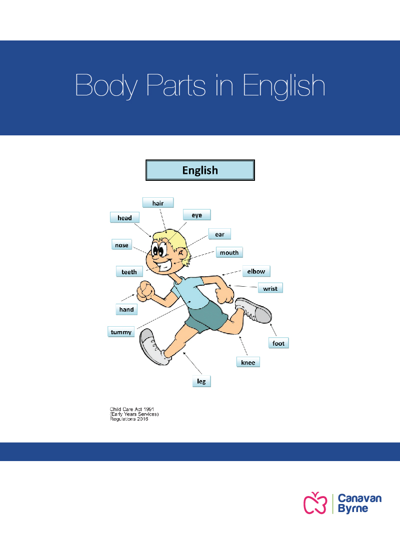 body-parts-in-english-early-years-shop