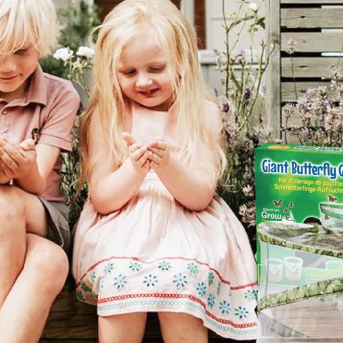 giant butterfly garden early years Ireland