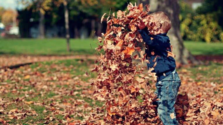 Thrive autumn outdoor activities Ireland