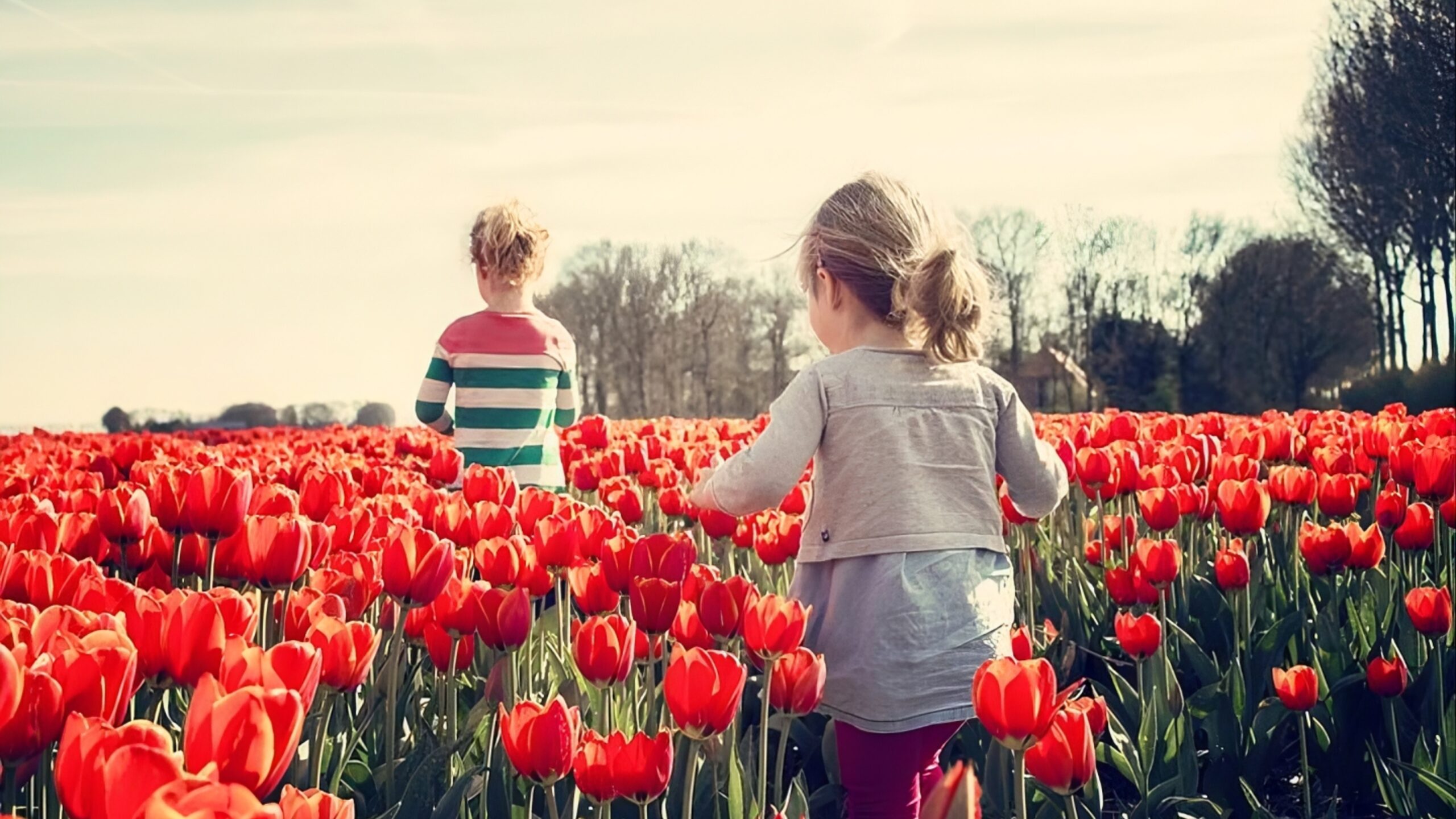 Thrive spring outdoor nature activities Ireland