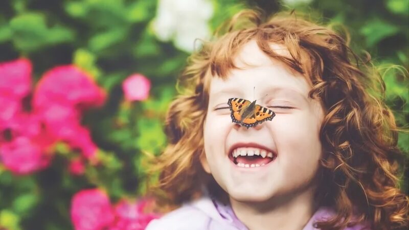 butterfly garden children Ireland