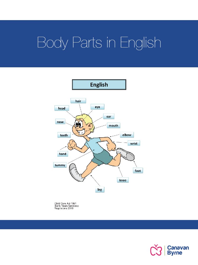 Body Parts – English